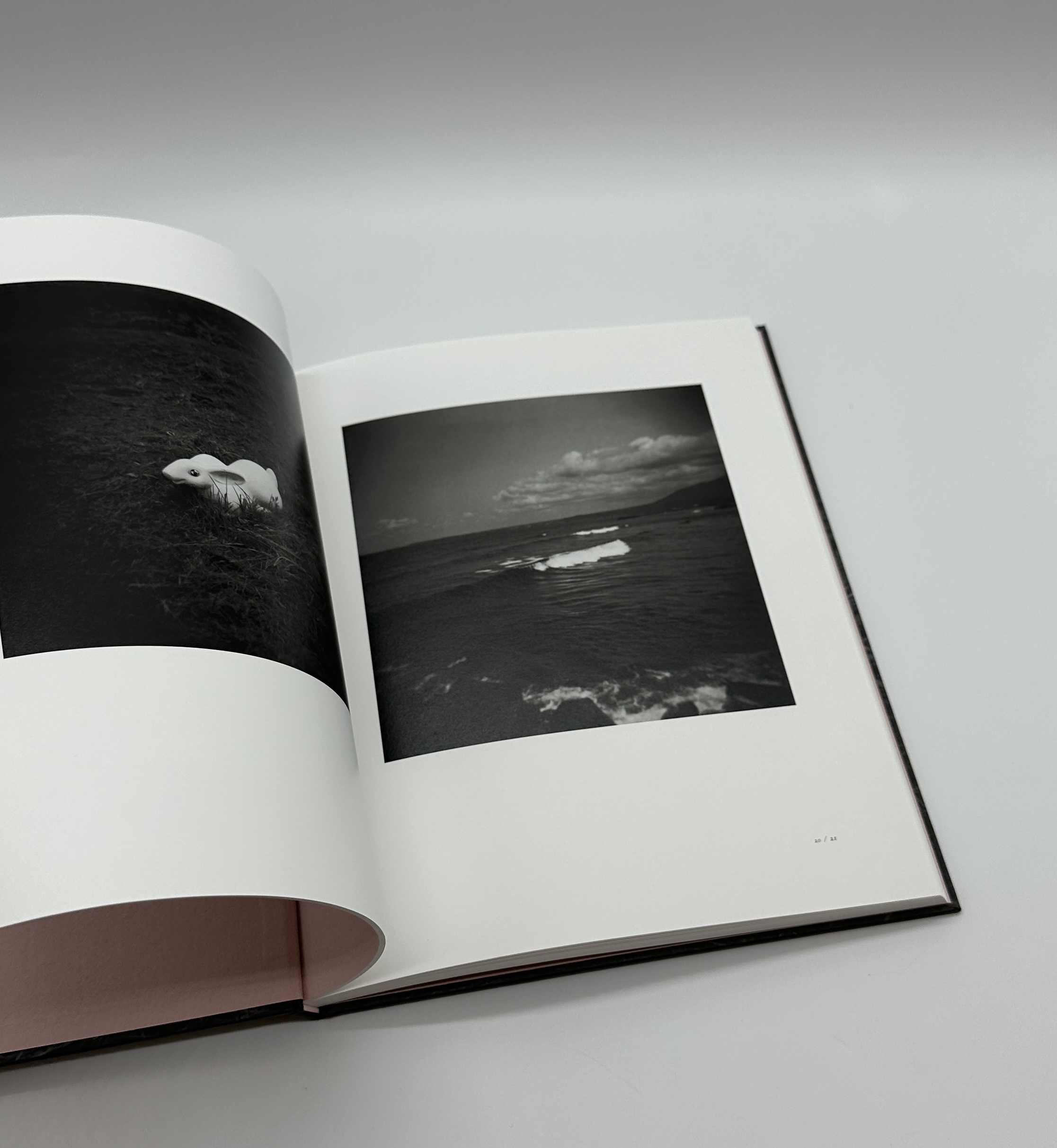 「署名入」ヤギと棘 - 画像 (4)