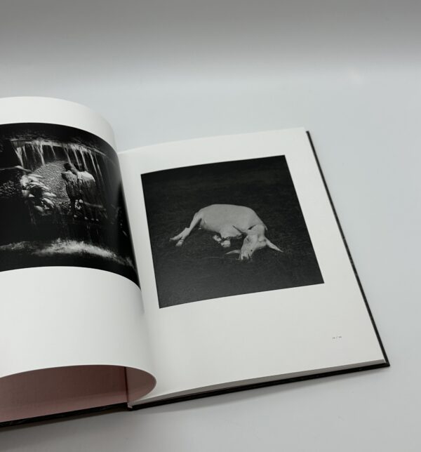 「署名入」ヤギと棘