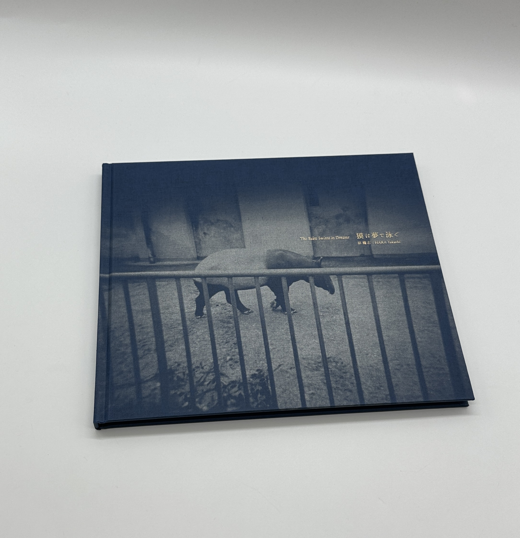 「署名入」獏は夢で泳ぐ - 画像 (1)