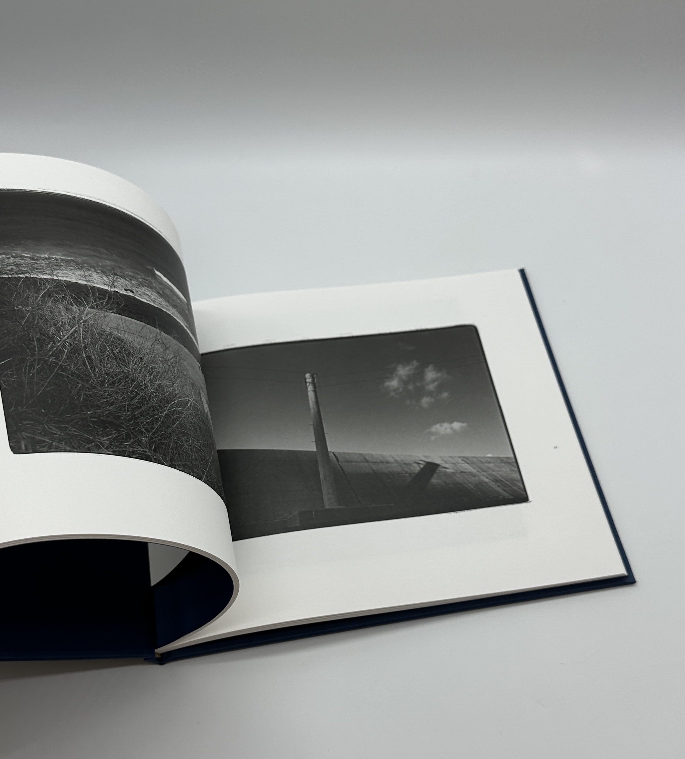 「署名入」獏は夢で泳ぐ - 画像 (5)