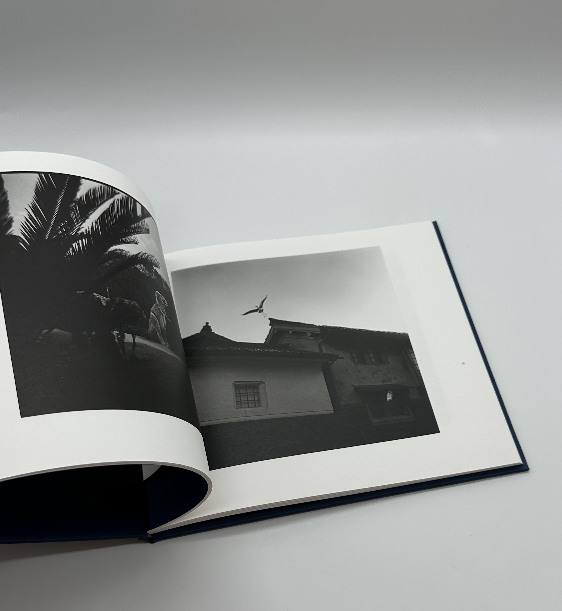 「署名入」獏は夢で泳ぐ - 画像 (4)