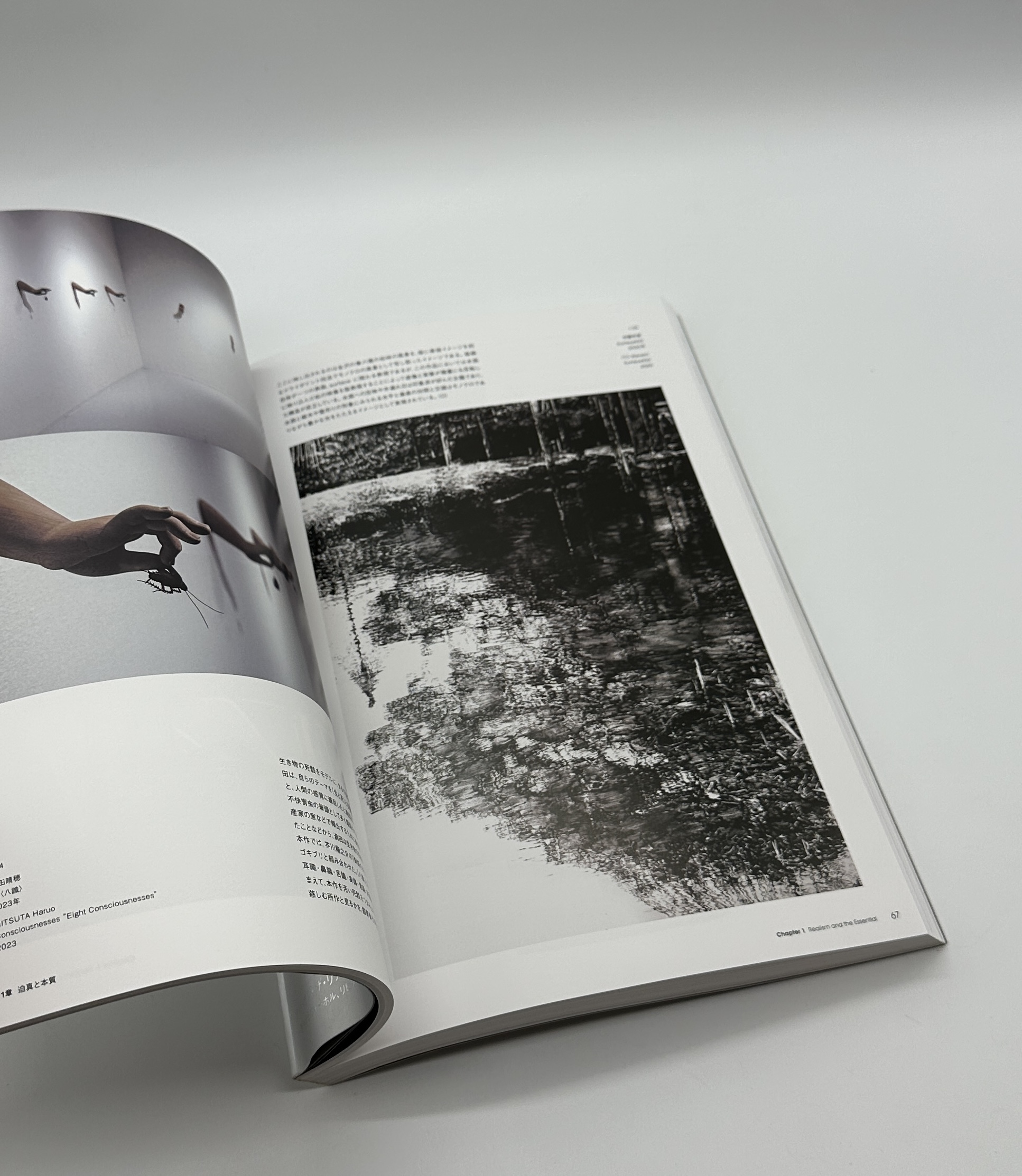 アート・オブ・ザ・リアル　時代を超える美術　若冲からウォーホル、リヒターへ - 画像 (3)