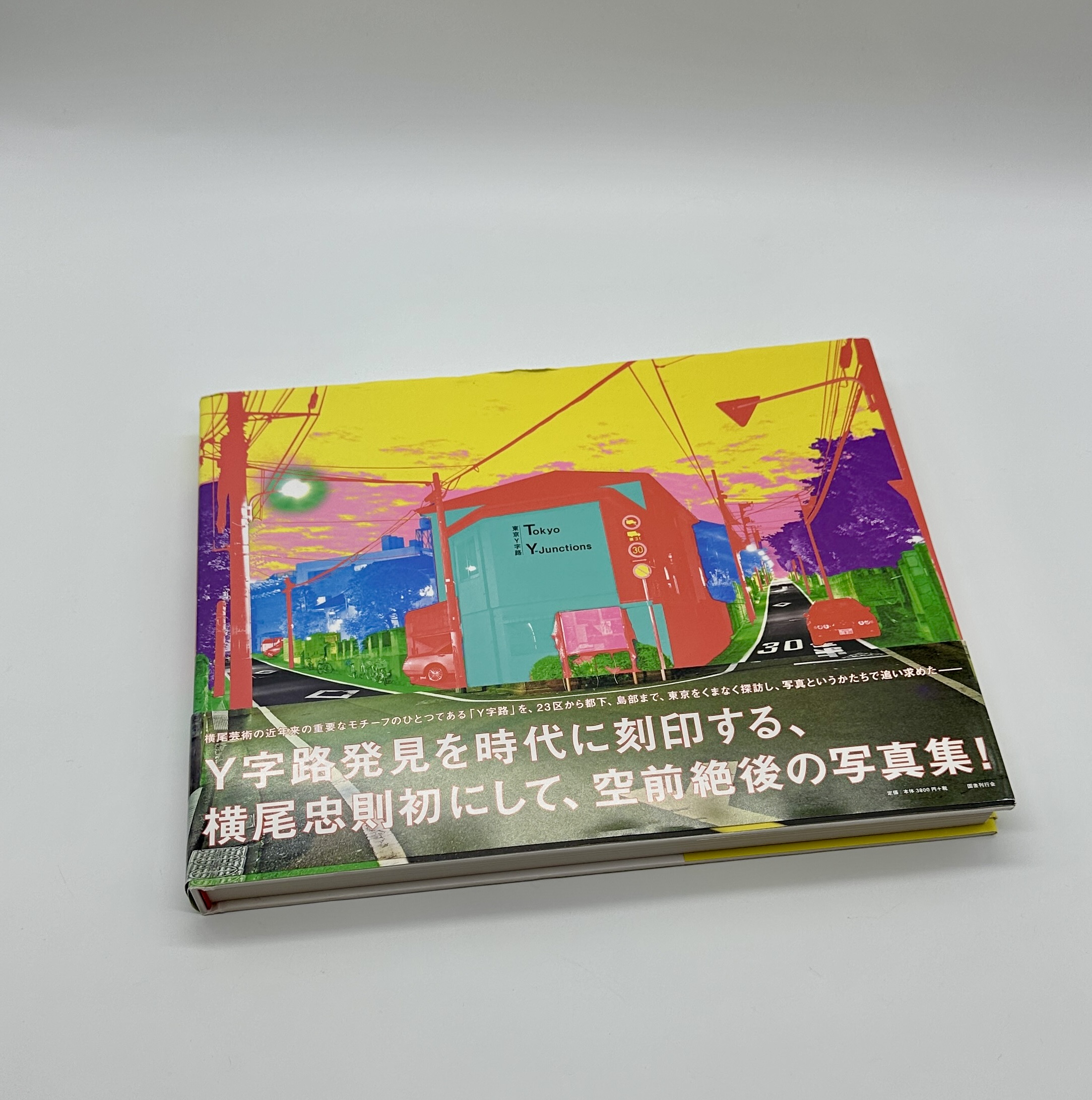 東京Y字路 - 画像 (1)