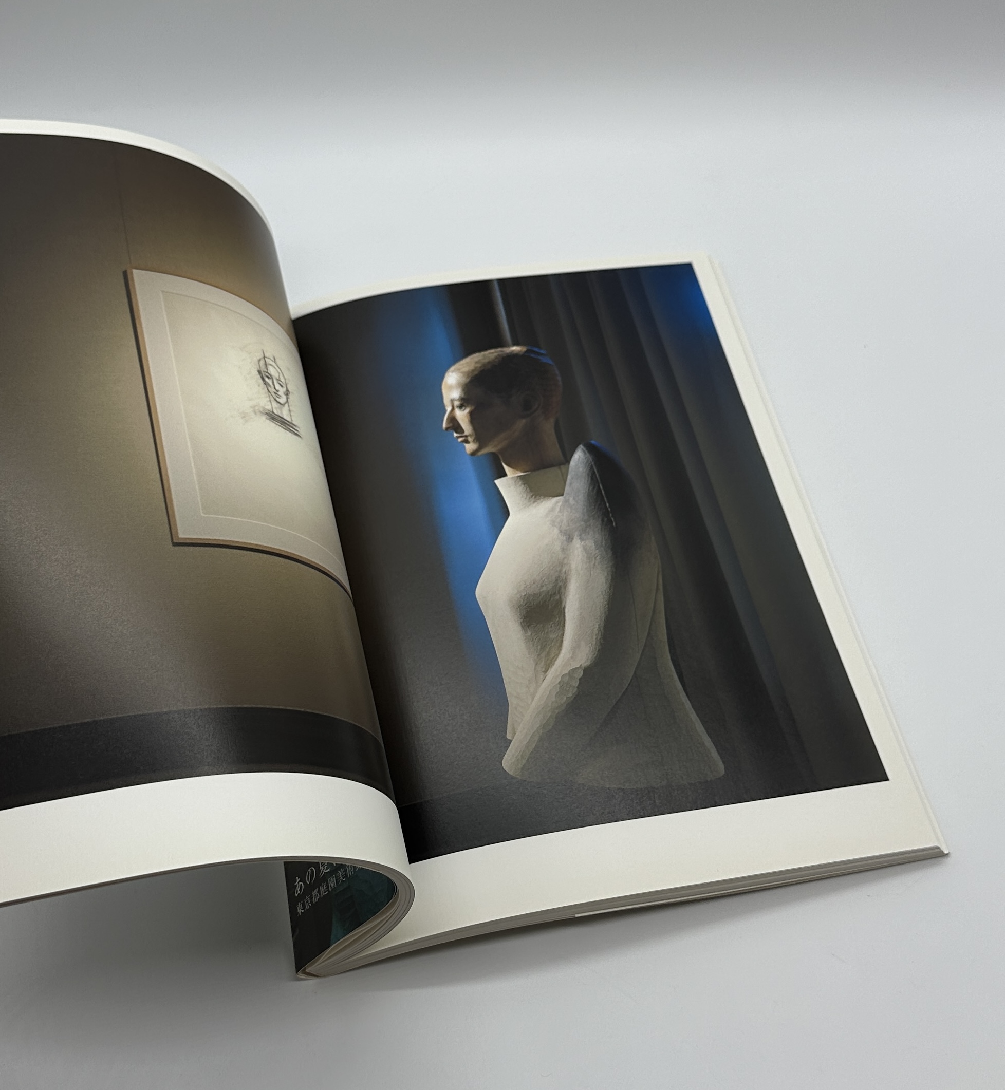 夏の邸宅 - 画像 (7)