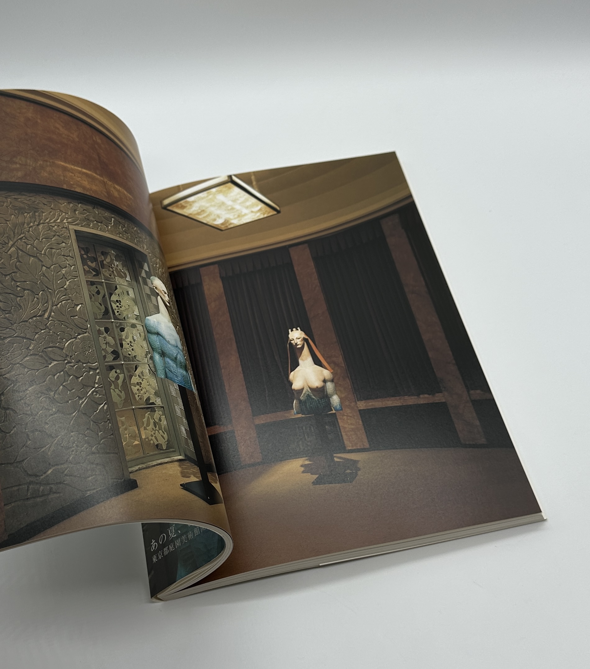 夏の邸宅 - 画像 (5)