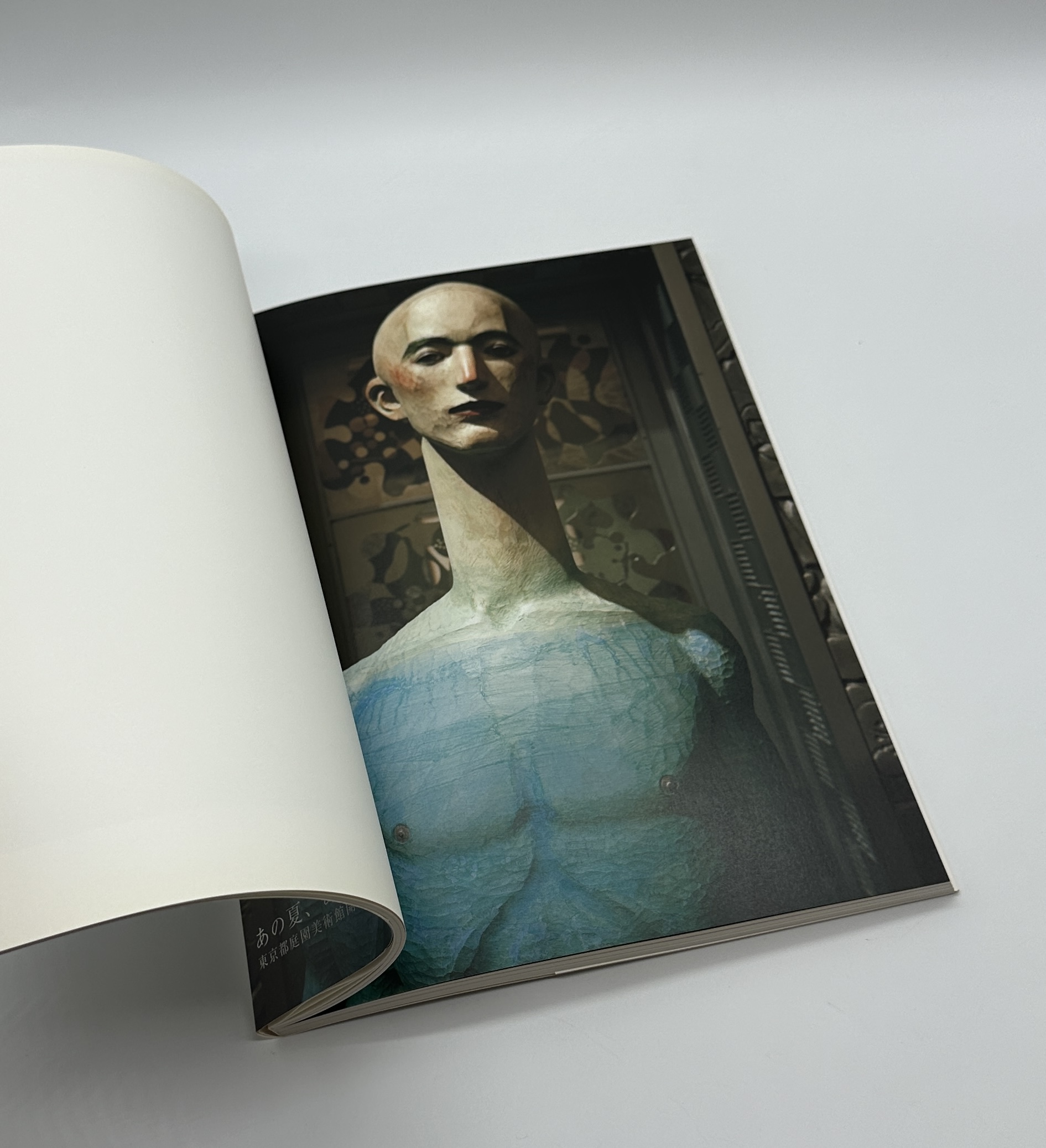 夏の邸宅 - 画像 (4)