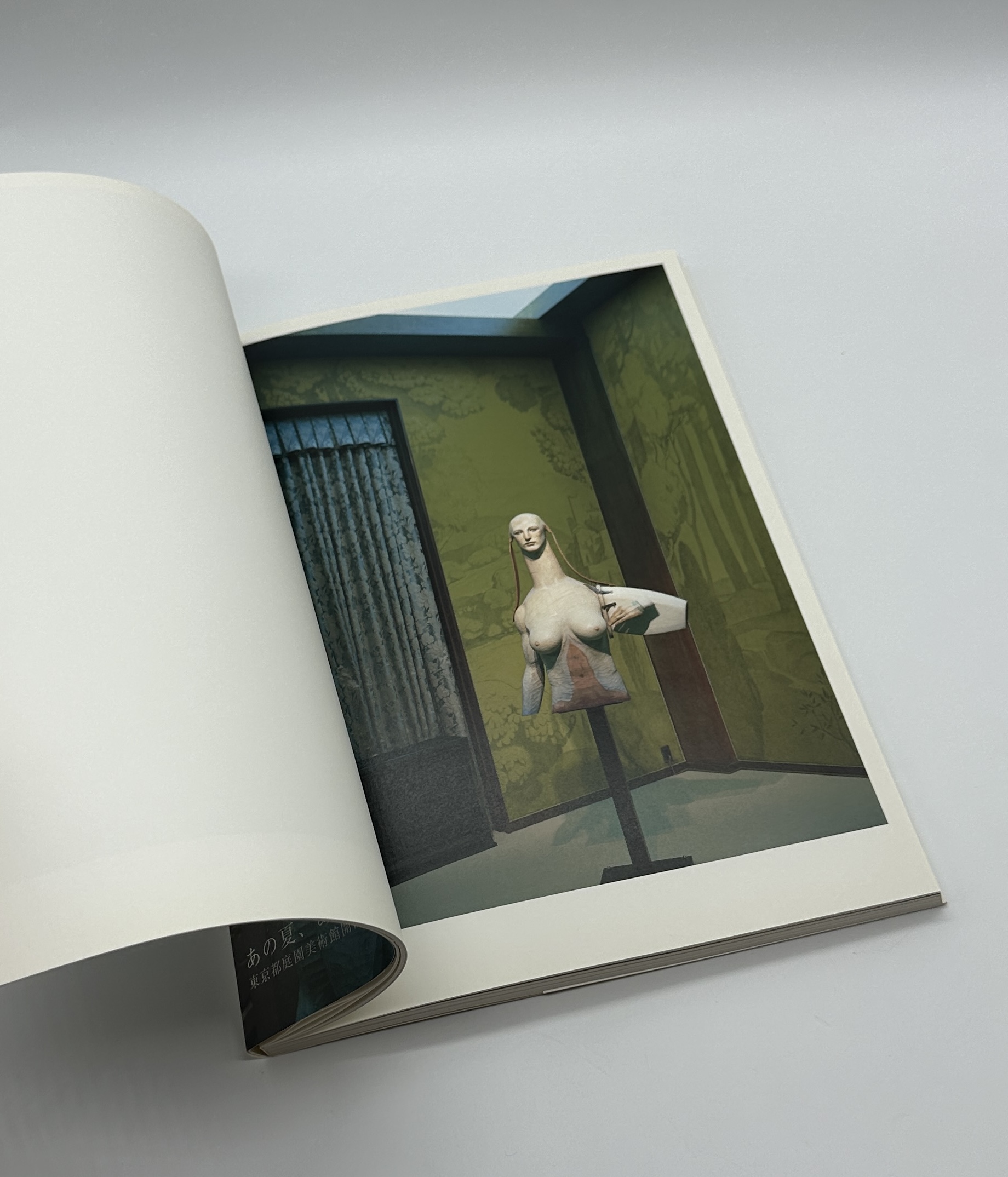 夏の邸宅 - 画像 (3)