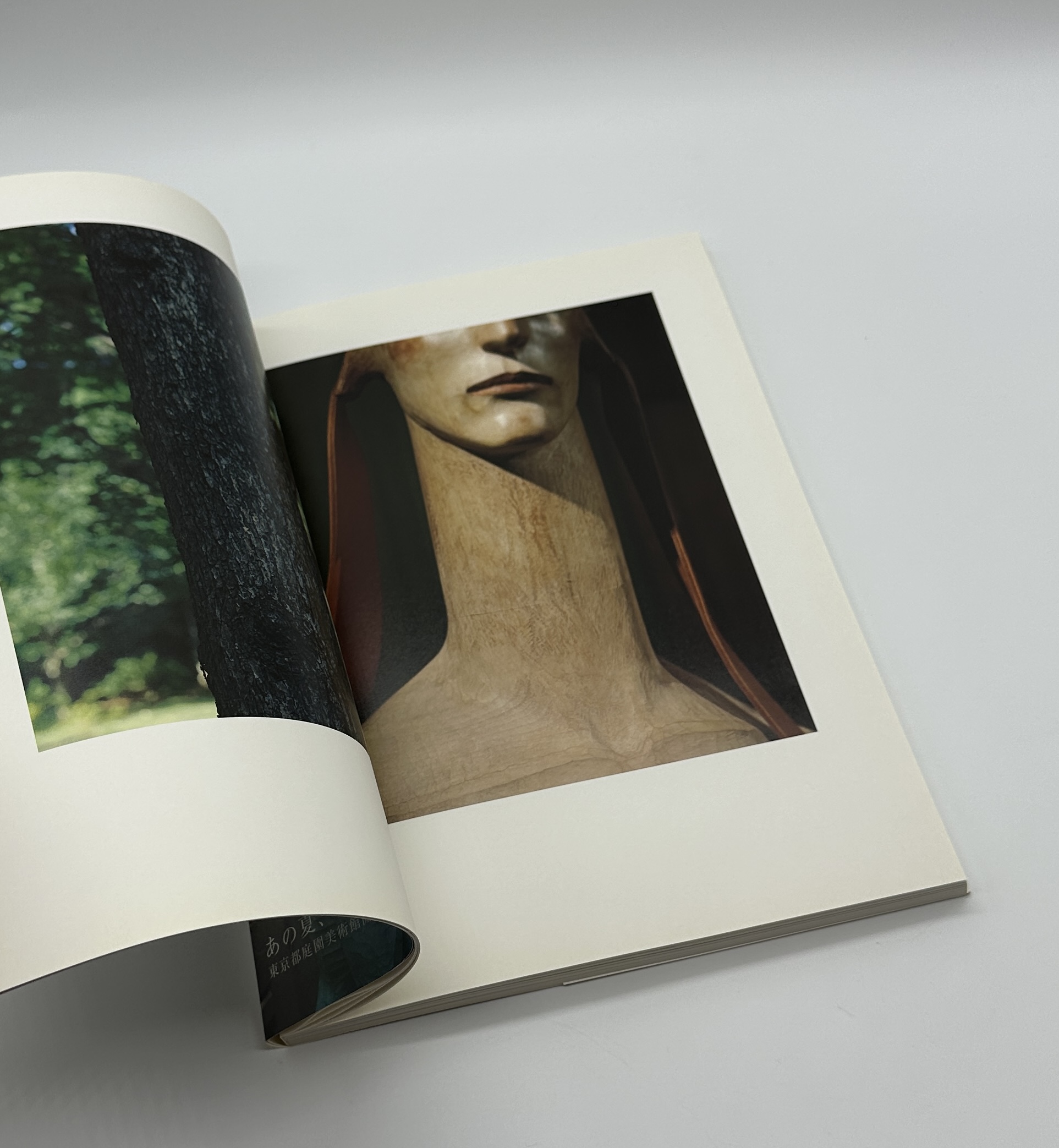 夏の邸宅 - 画像 (2)