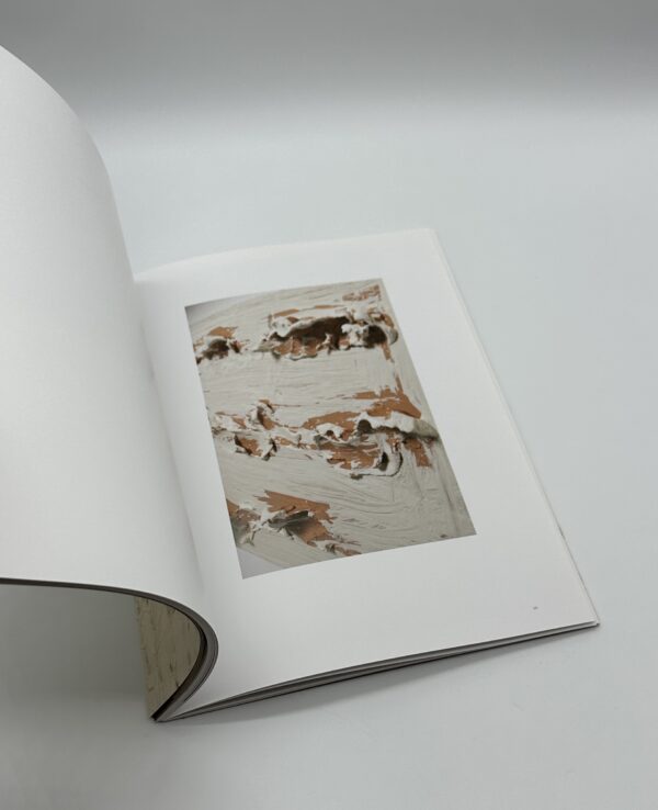 Matter in Contact　物質の肌合い