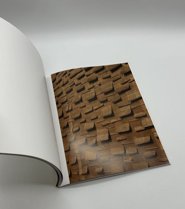 Matter in Contact　物質の肌合い