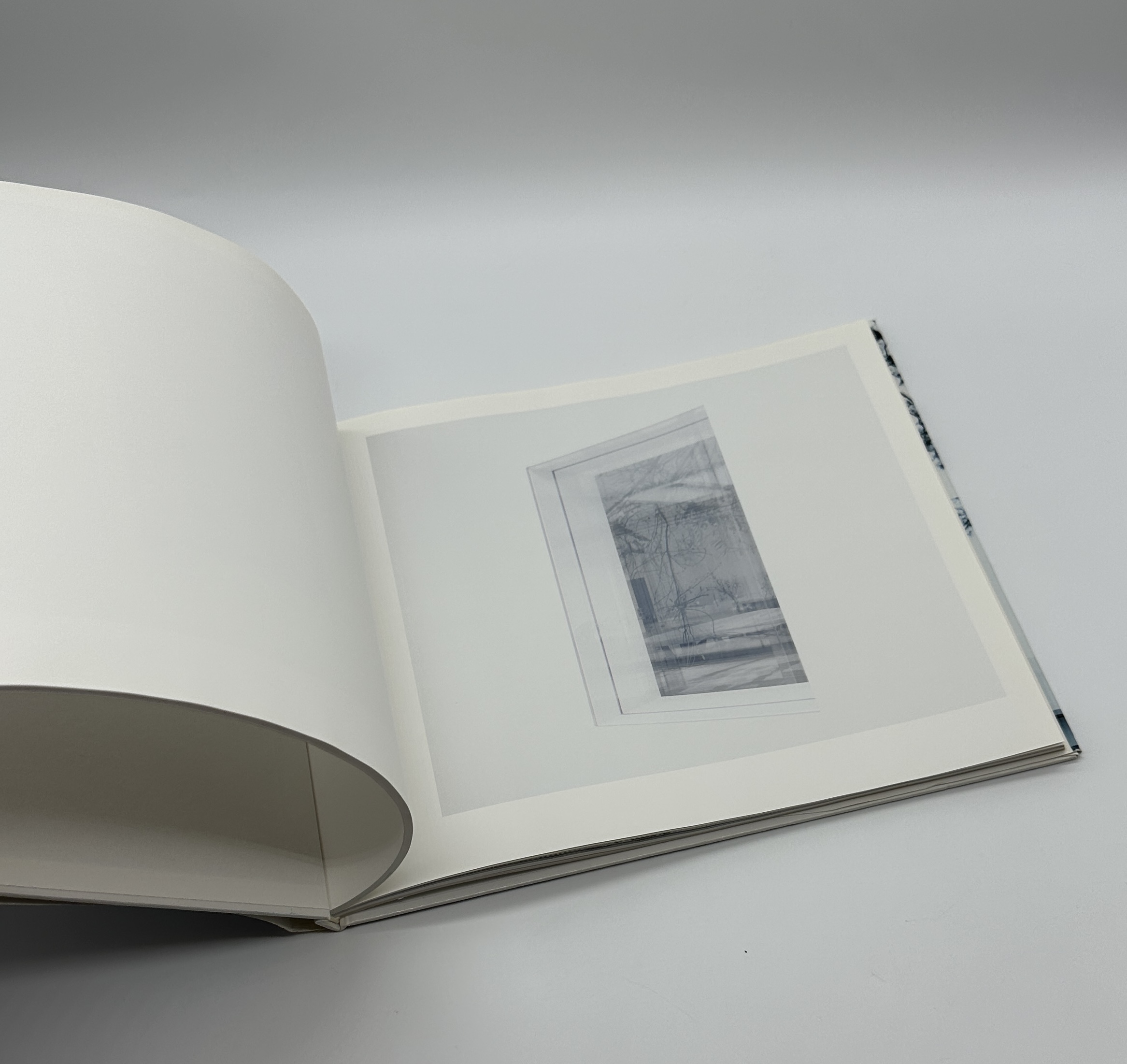 妹島和世＋西沢立衛/SANAA - 画像 (5)