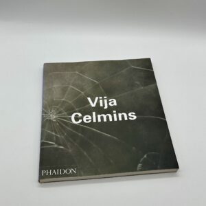 Vija Celmins