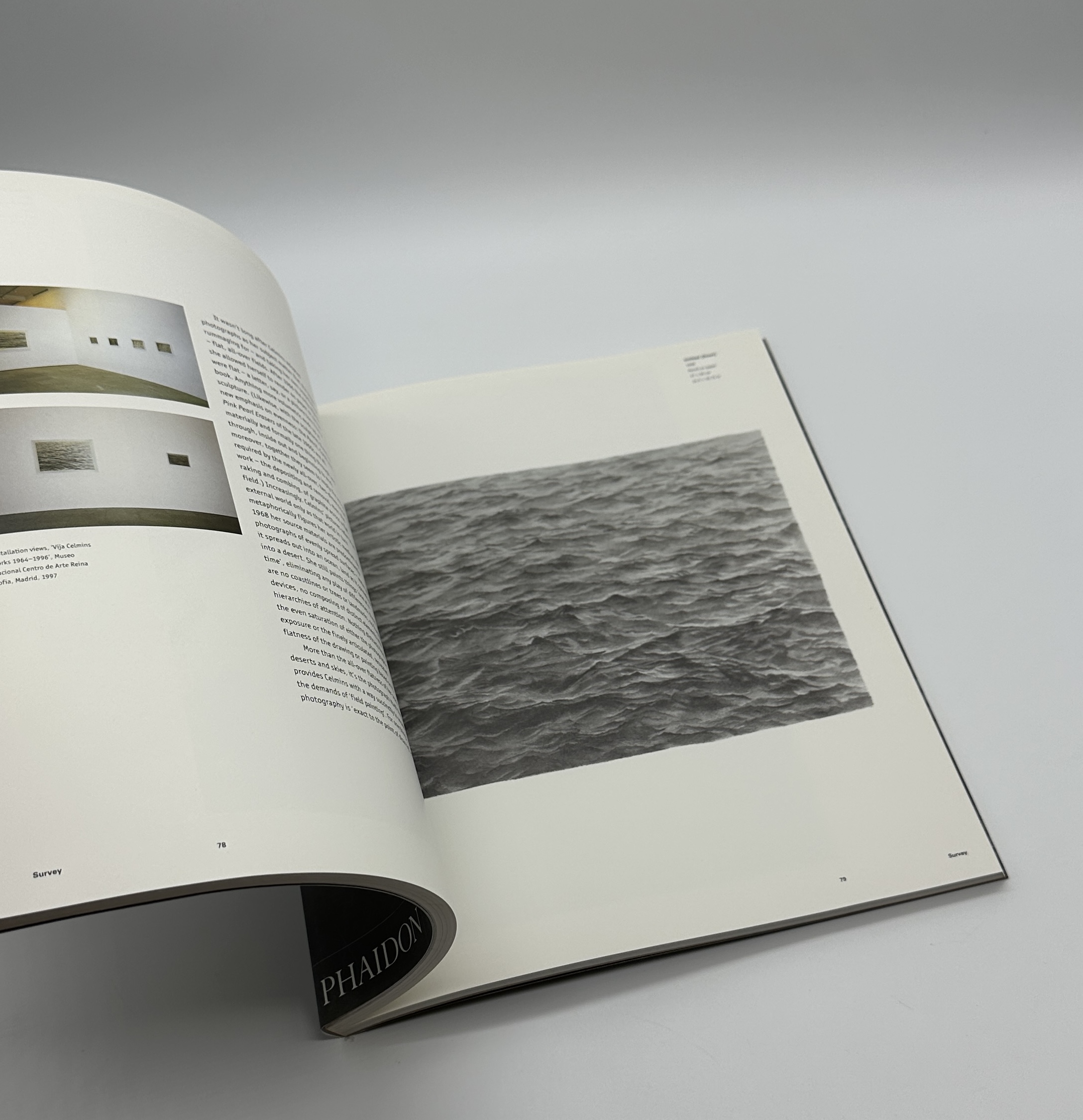 Vija Celmins - 画像 (7)