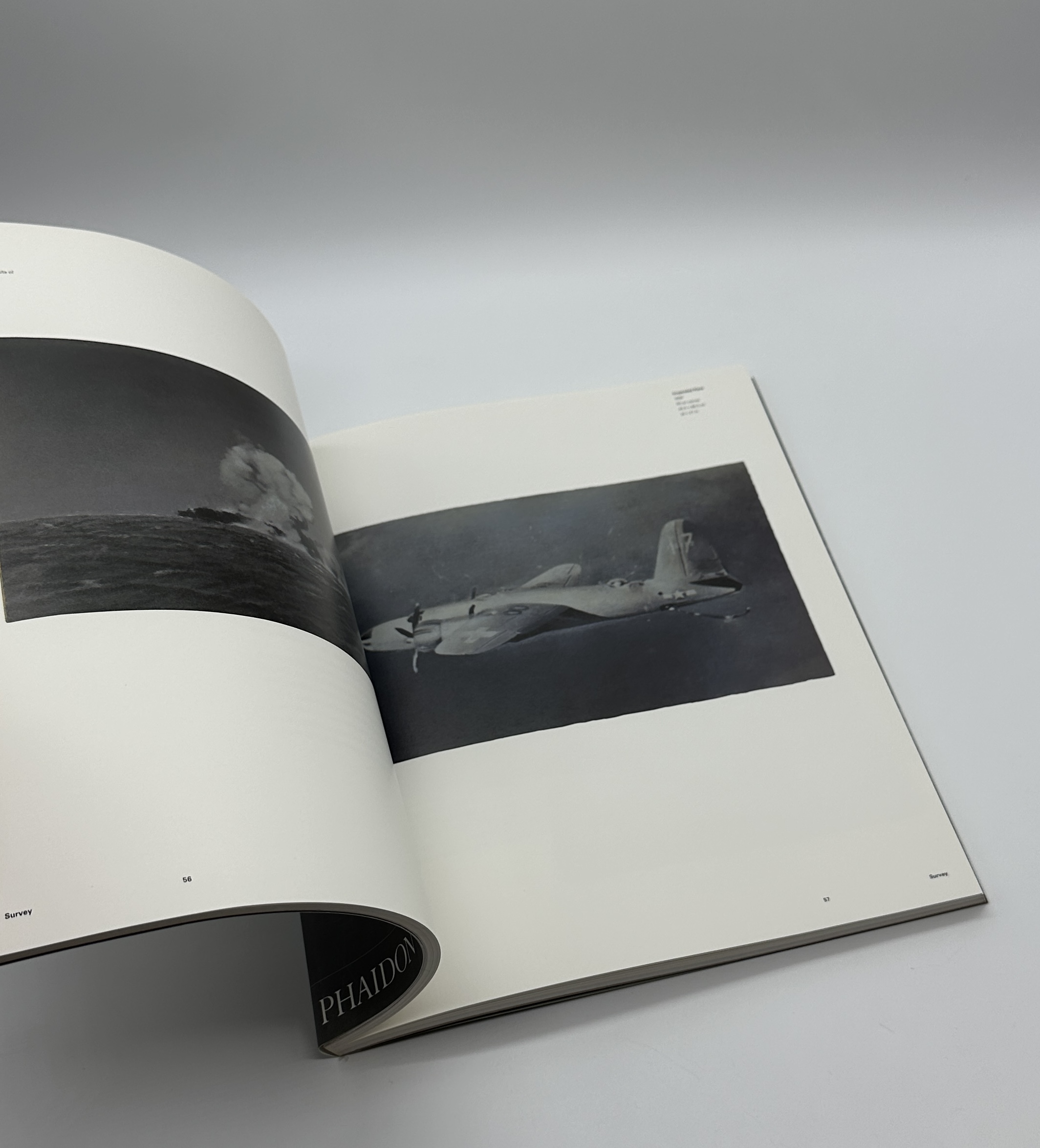 Vija Celmins - 画像 (6)