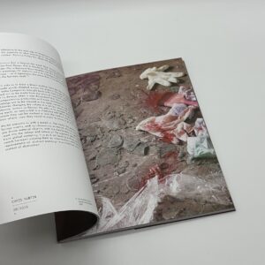 THE ROARING FORTIES - 画像 (2)