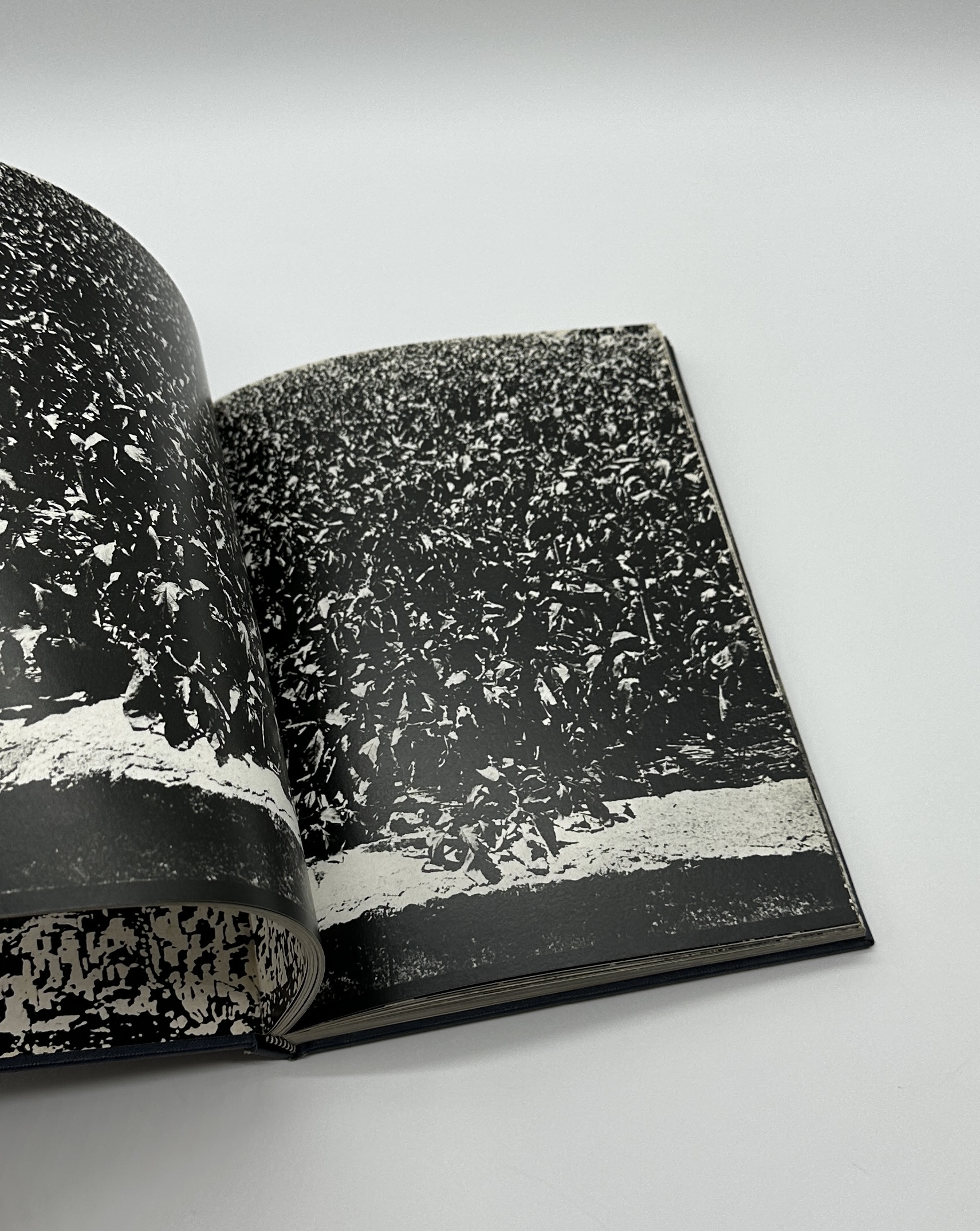 ヒロシマ　広島　hirou-shima - 画像 (7)