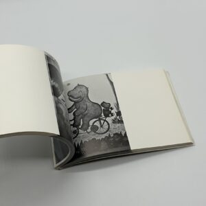 続センチメンタルな旅　沖縄　荒木経惟写真集2 - 画像 (11)