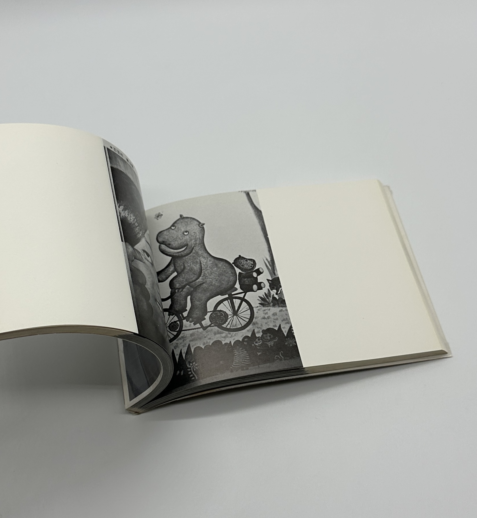 続センチメンタルな旅　沖縄　荒木経惟写真集2 - 画像 (11)