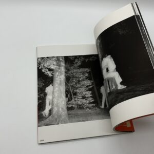 ドキュメント・公園 - 画像 (9)