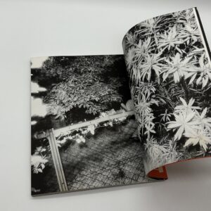 ドキュメント・公園 - 画像 (3)