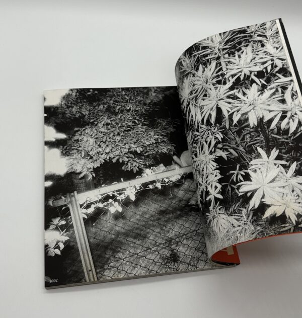 ドキュメント・公園