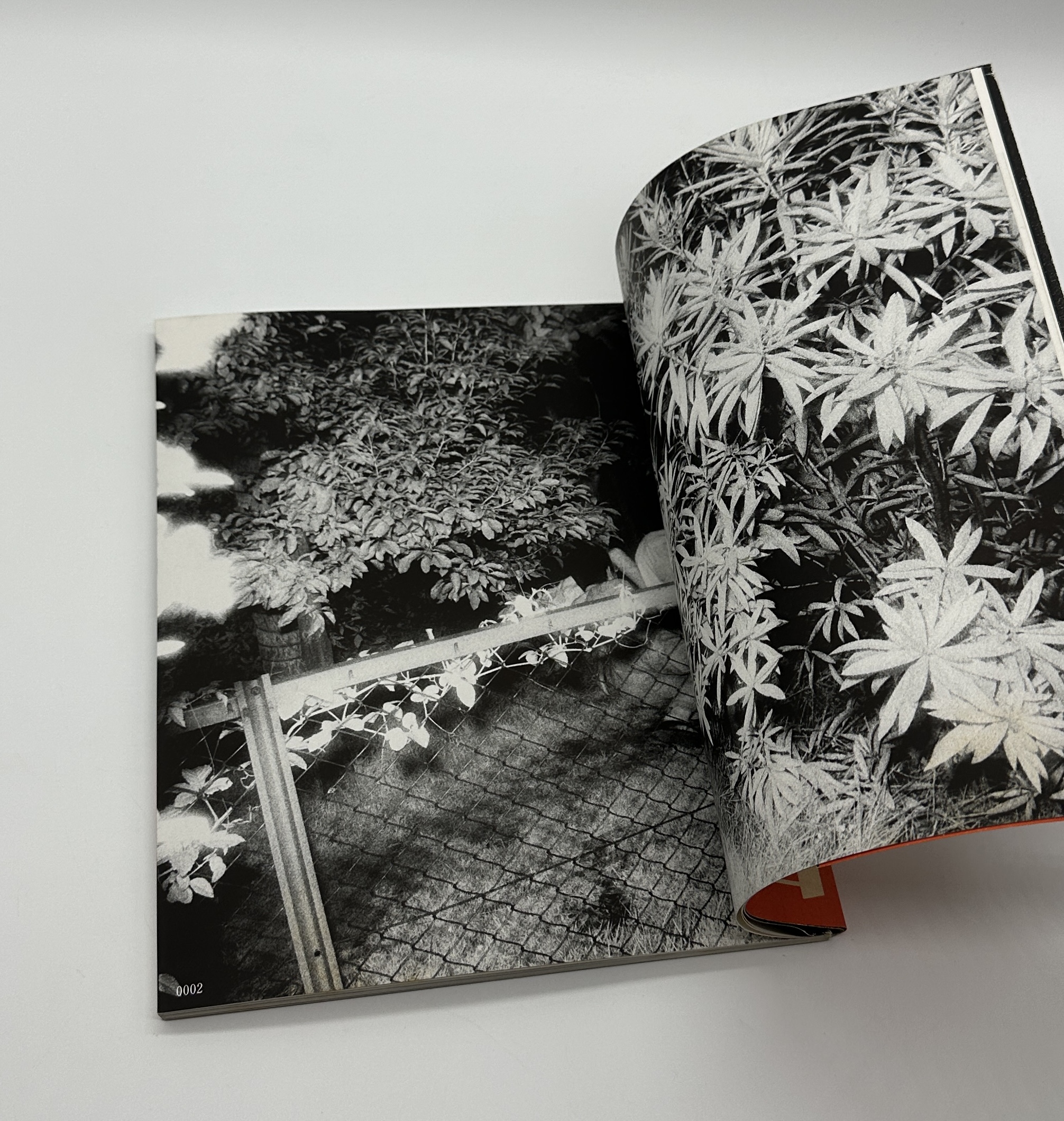 ドキュメント・公園 - 画像 (3)