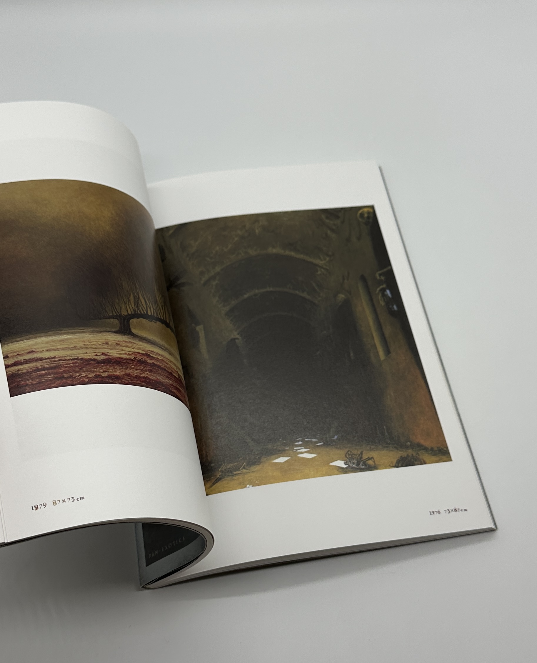 新装版　ベキシンスキ作品集成2 - 画像 (6)