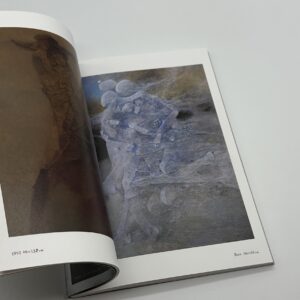 新装版　ベキシンスキ作品集成2 - 画像 (4)