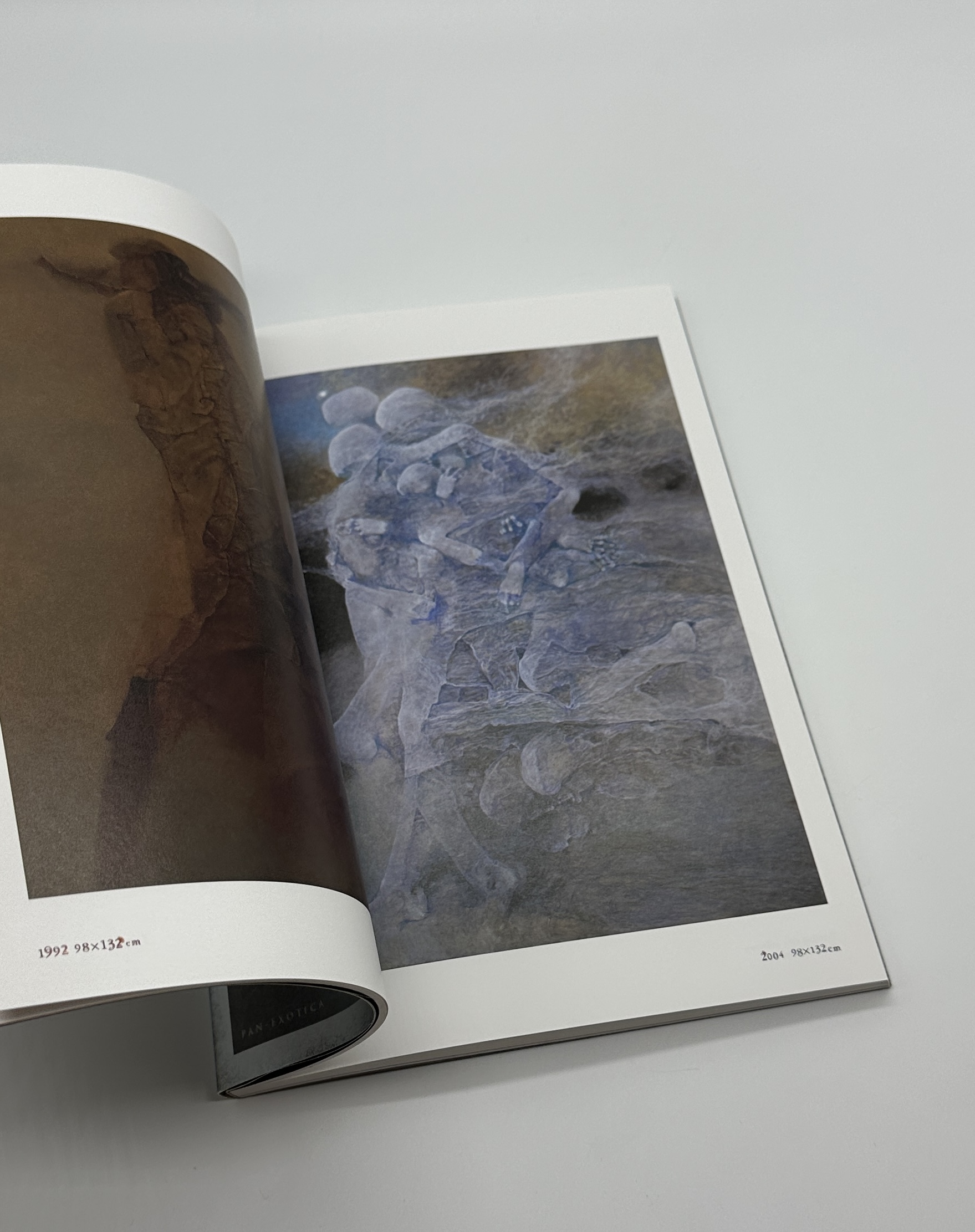 新装版　ベキシンスキ作品集成2 - 画像 (4)