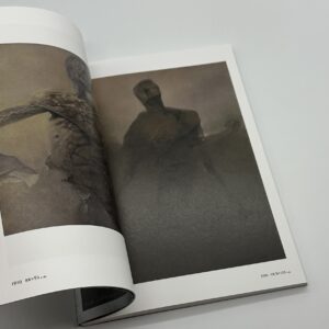 新装版　ベキシンスキ作品集成2 - 画像 (3)