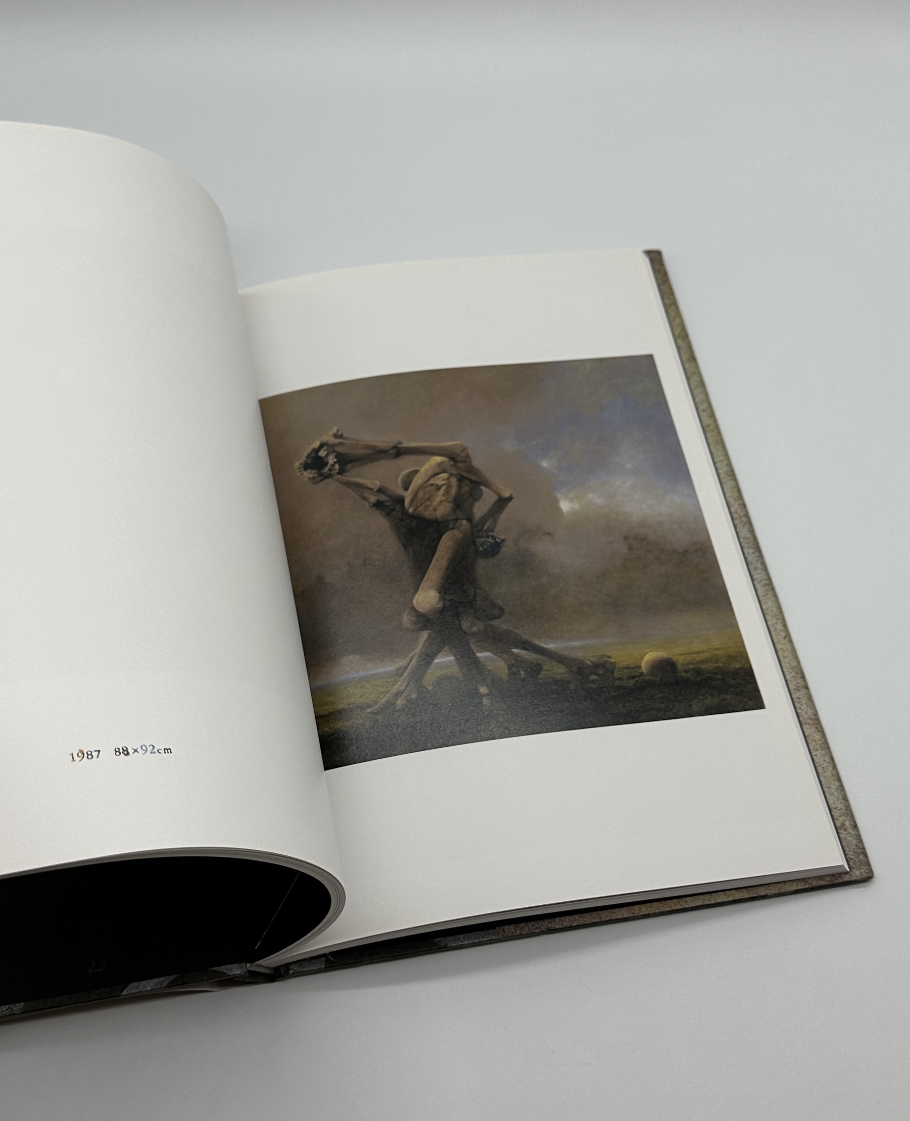 ベキシンスキ作品集成1 - 画像 (5)