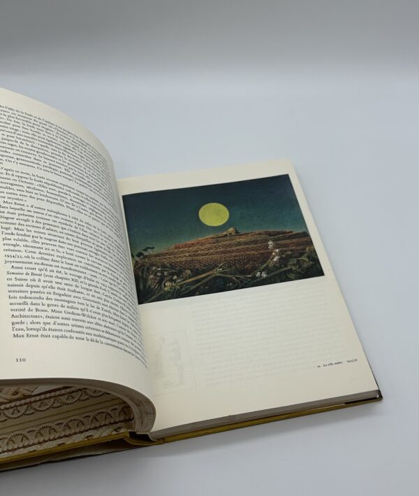 Sa Vie Son oeuvre Max Ernst