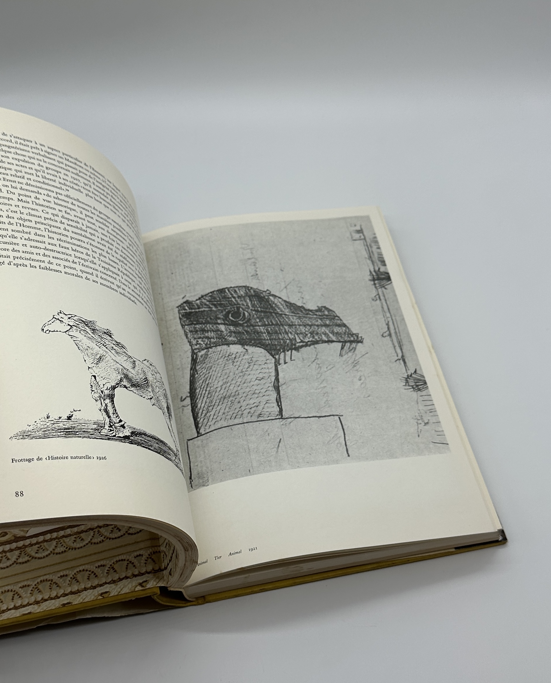 Sa Vie Son oeuvre Max Ernst - 画像 (6)