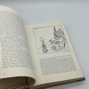 Sa Vie Son oeuvre Max Ernst - 画像 (3)