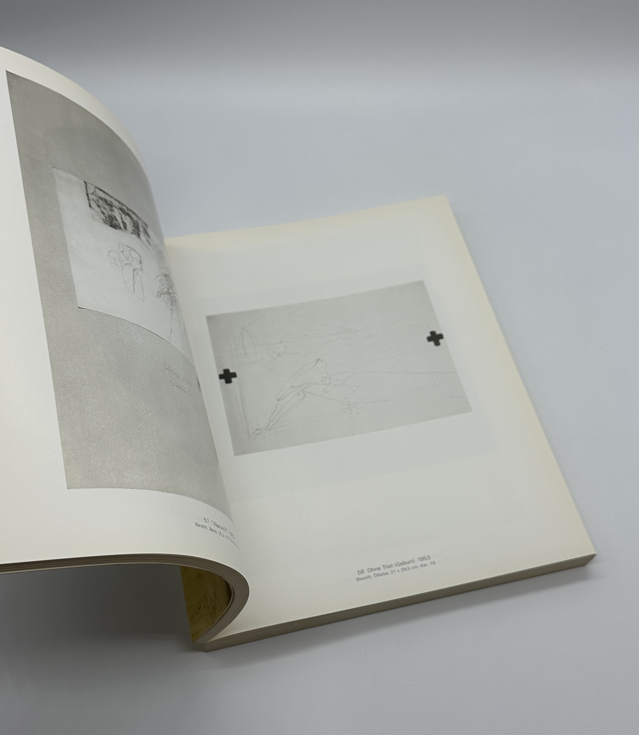 NATUR MATERIE FORM - 画像 (7)