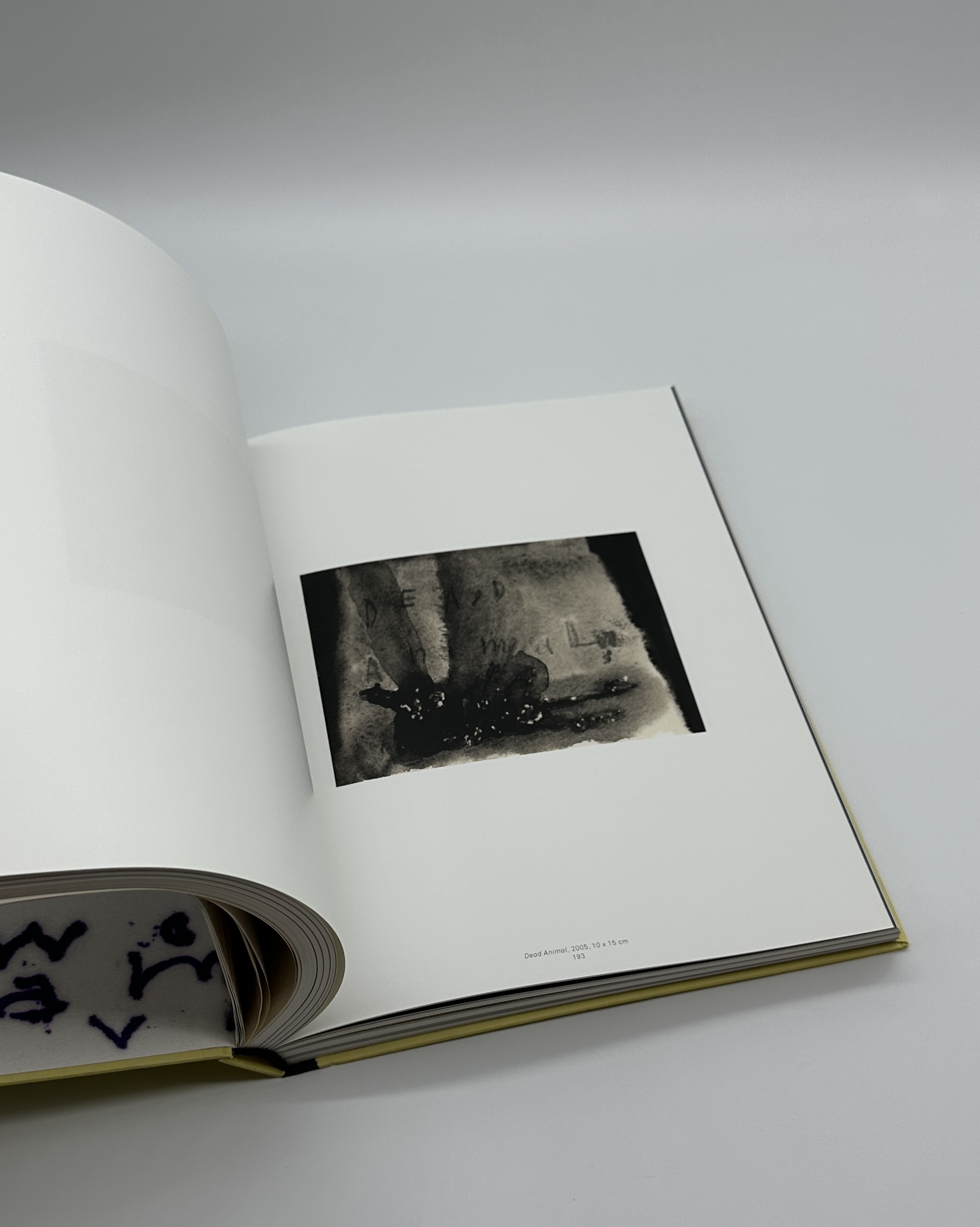 The Air is on Fire - 画像 (7)