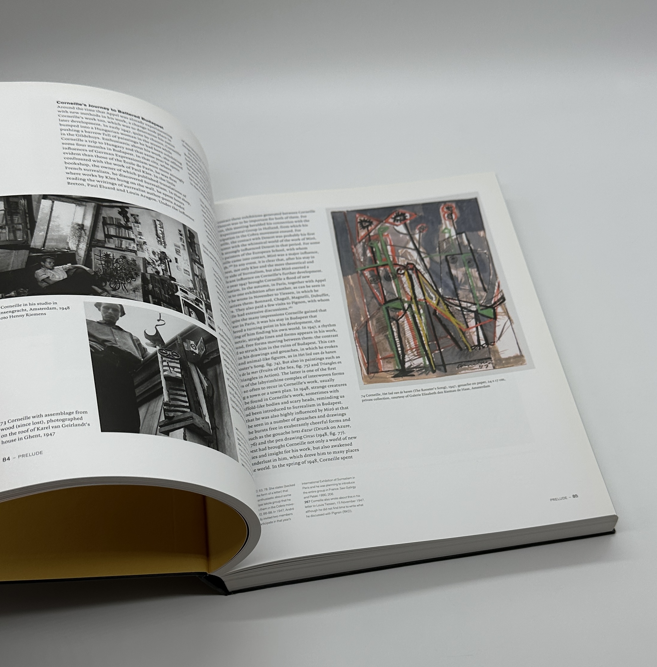 COBRA 1948-1951　The History of a European Avant-Garde Movement - 画像 (6)