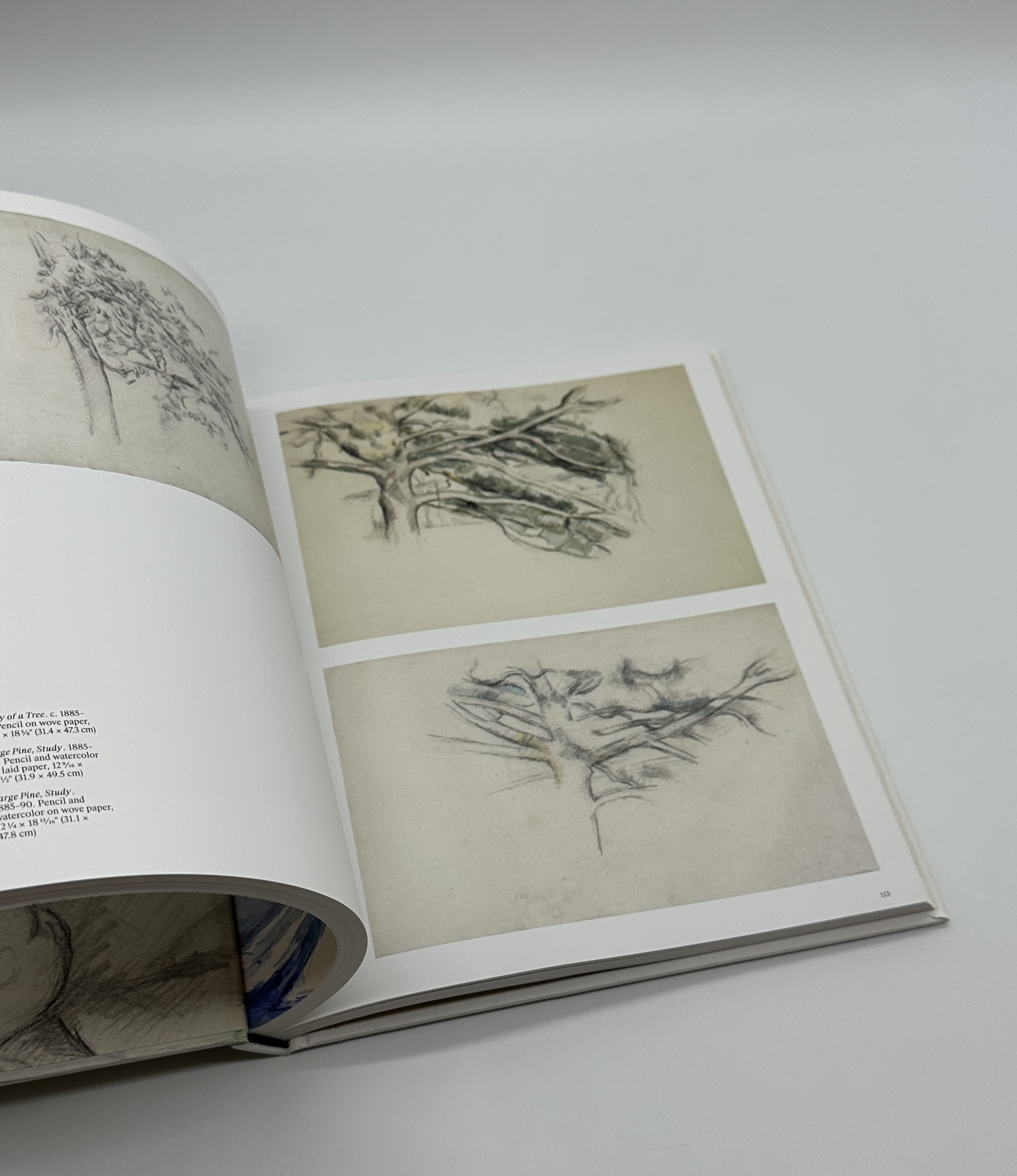 CEZANNE DRAWING - 画像 (6)