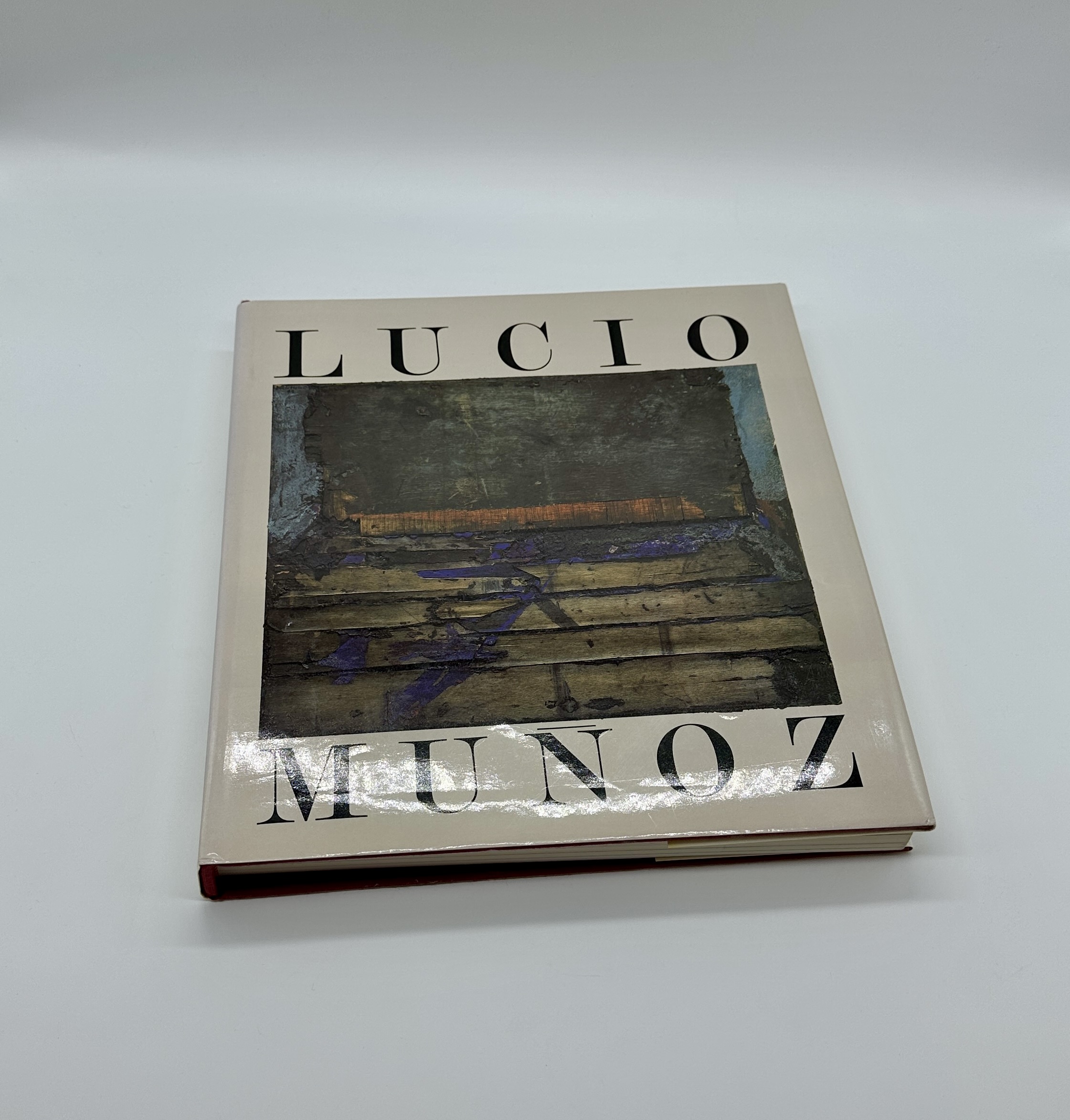 LUCIO MUNOZ - 画像 (1)