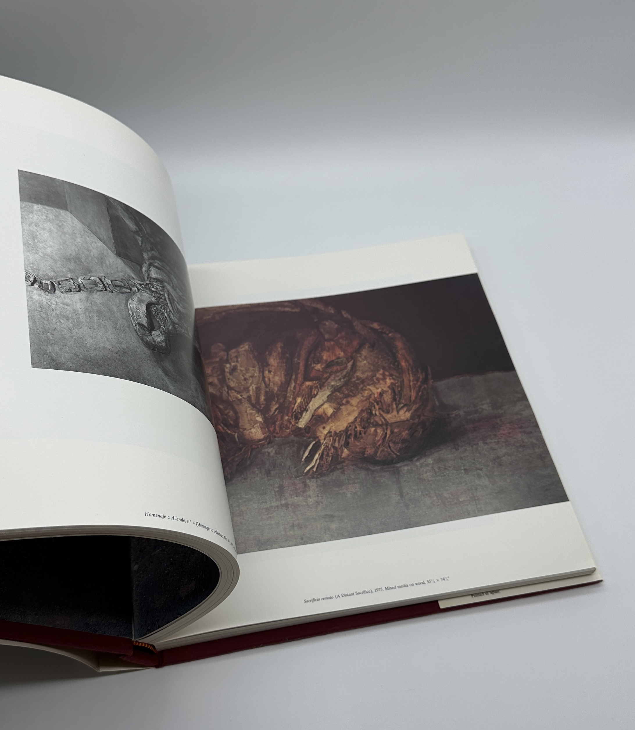 LUCIO MUNOZ - 画像 (7)