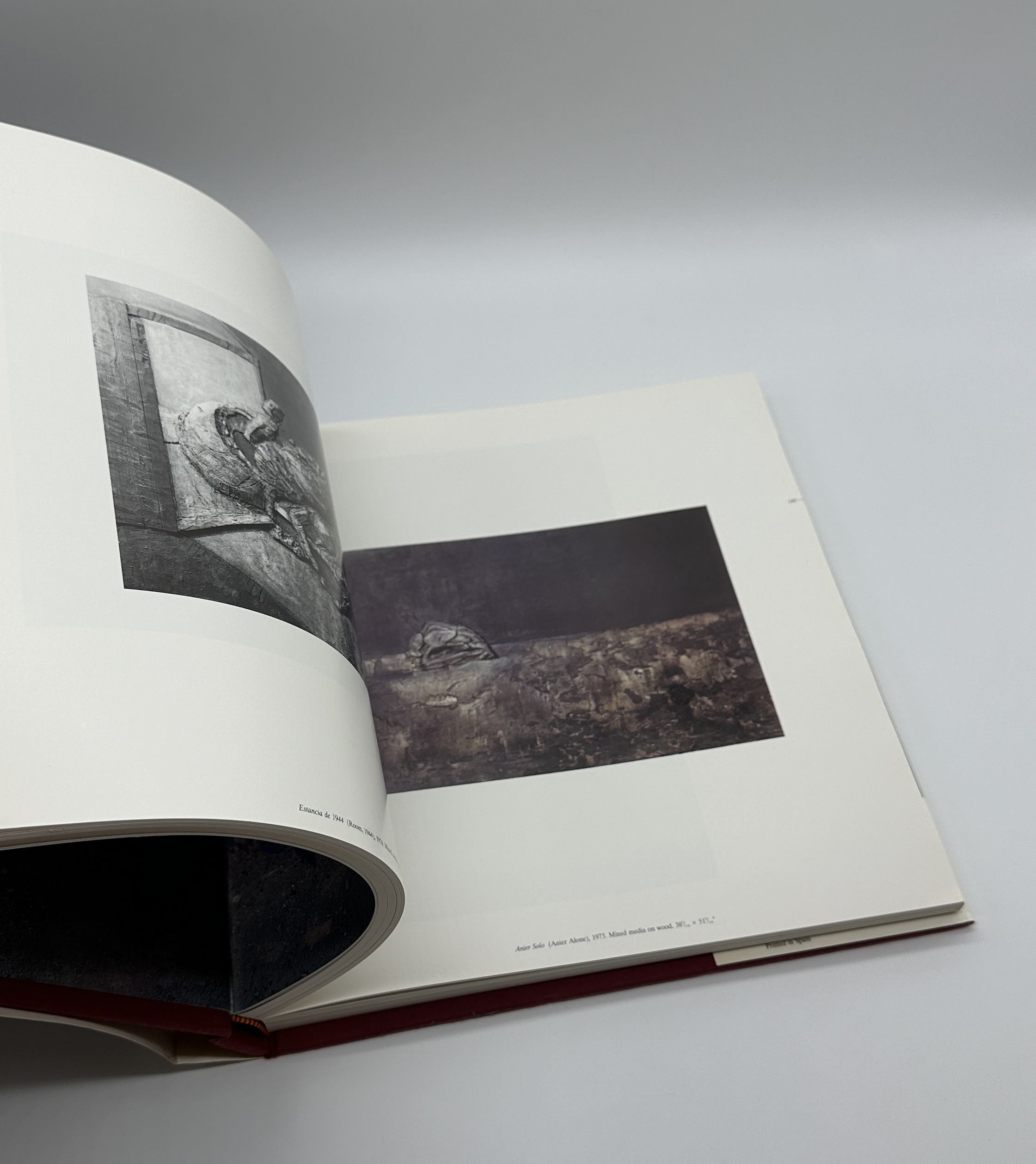 LUCIO MUNOZ - 画像 (6)