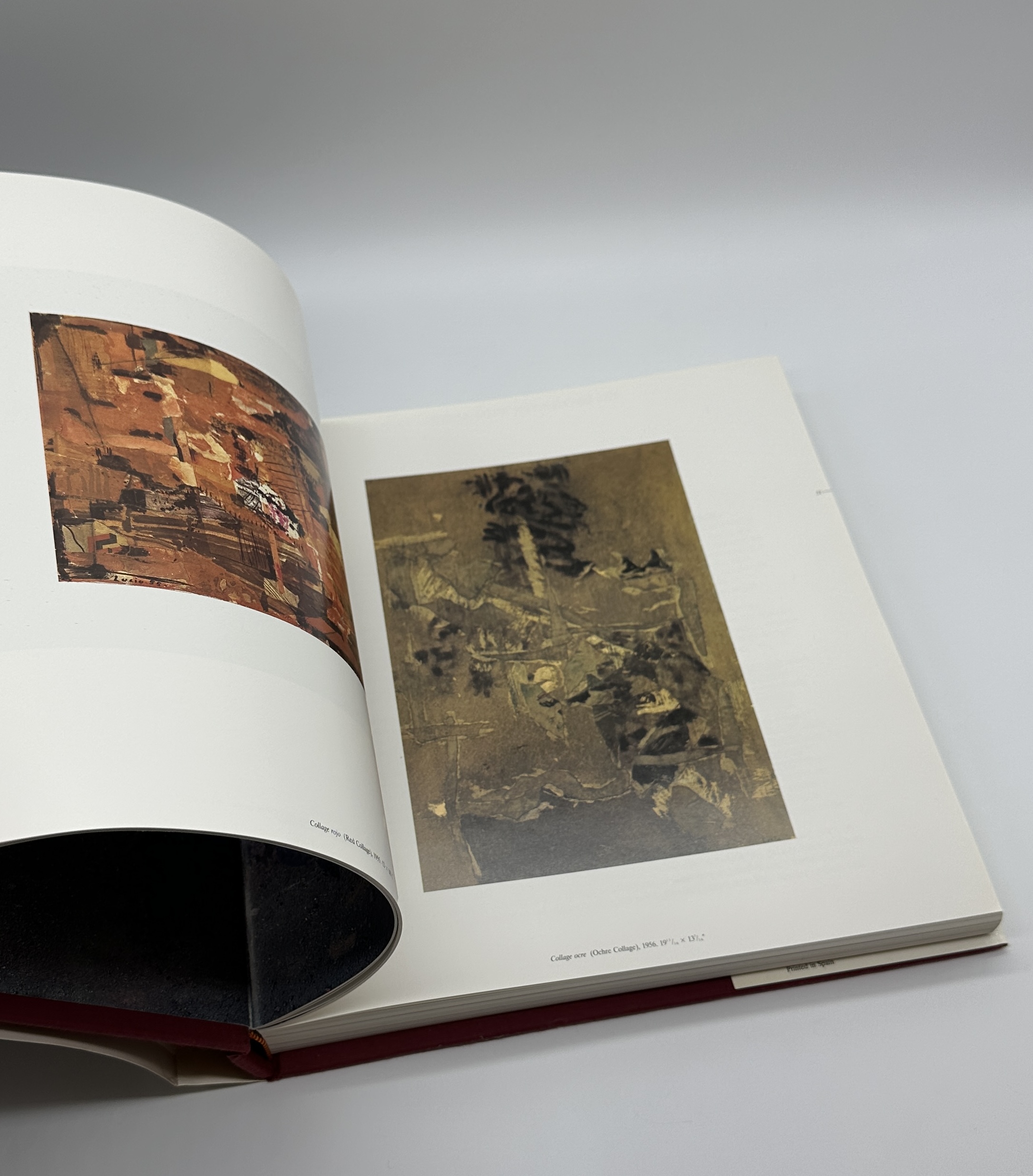 LUCIO MUNOZ - 画像 (2)