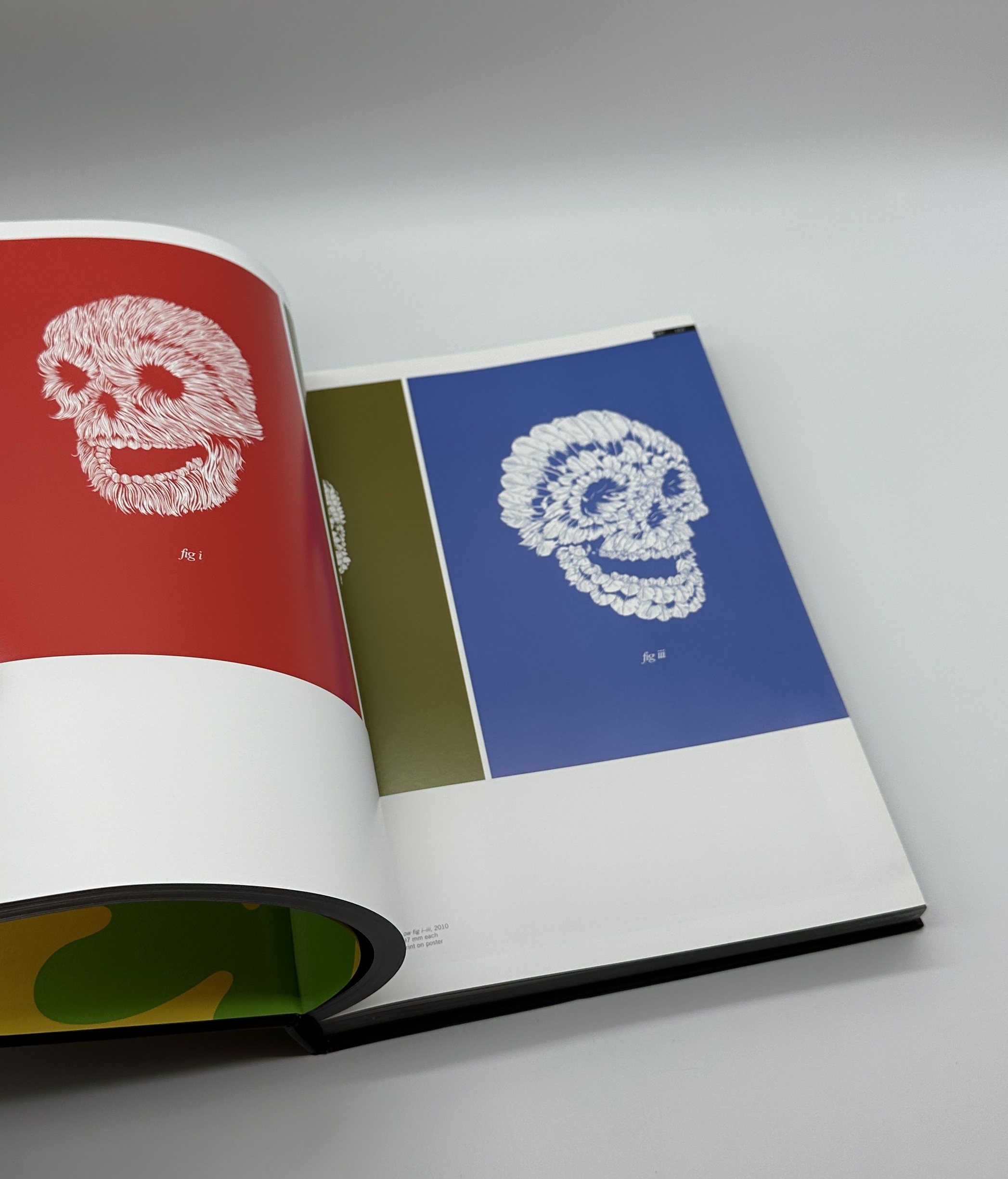 SKULLS IN CONTEMPORARY ART AND DESIGN - 画像 (6)