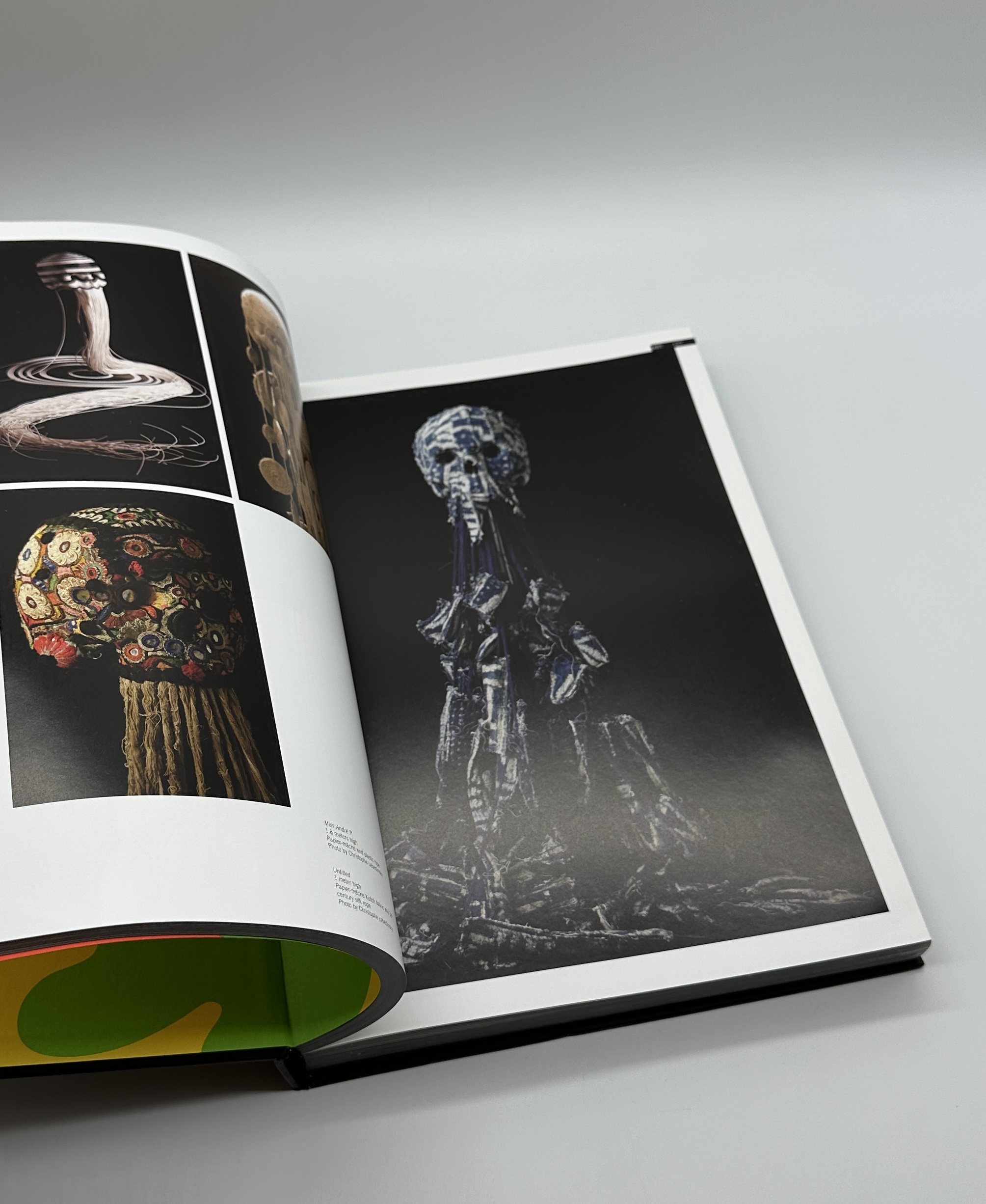 SKULLS IN CONTEMPORARY ART AND DESIGN - 画像 (5)