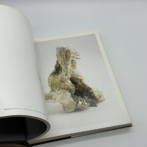 DAVID ALTMEJD - 画像 (5)