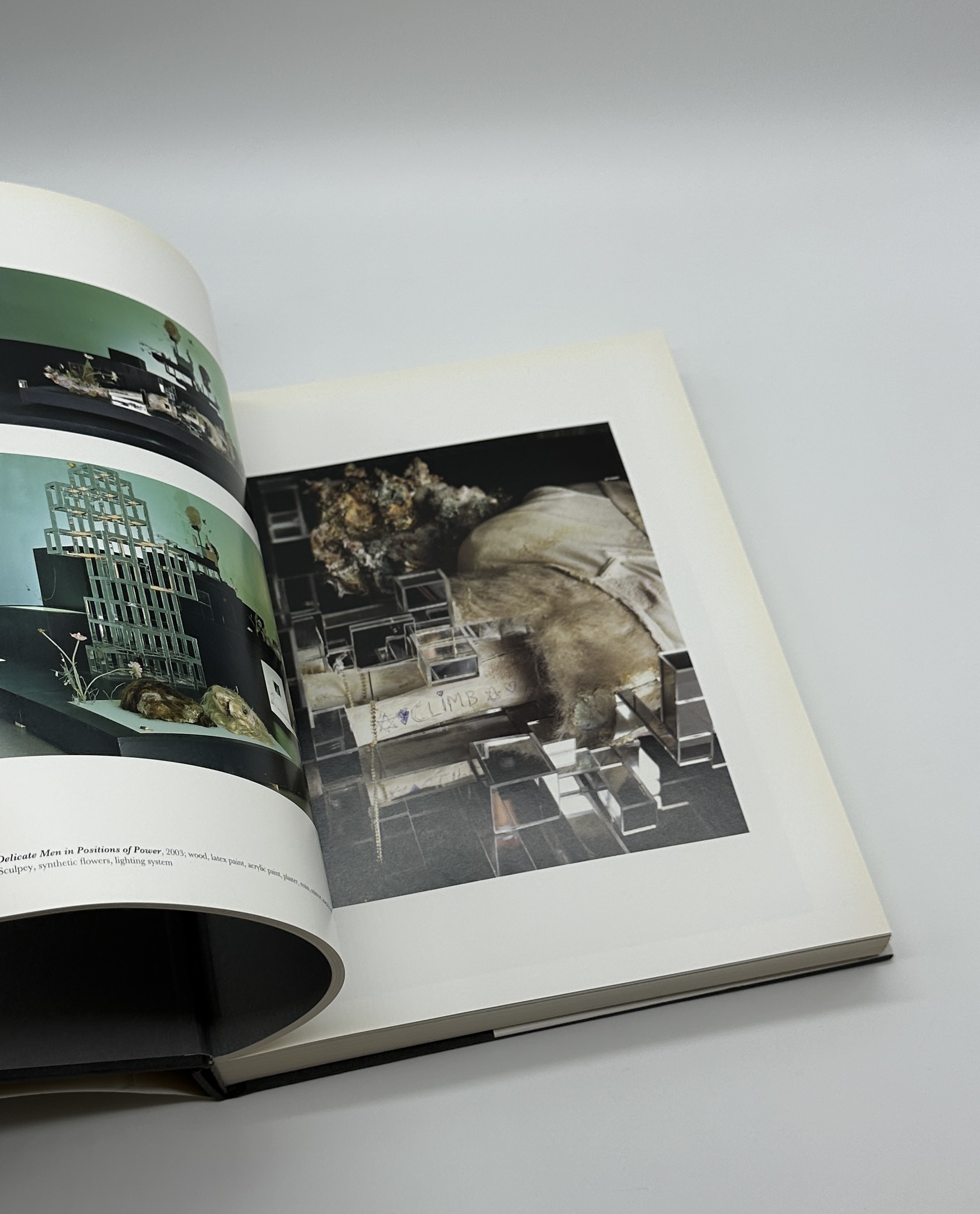 DAVID ALTMEJD - 画像 (3)