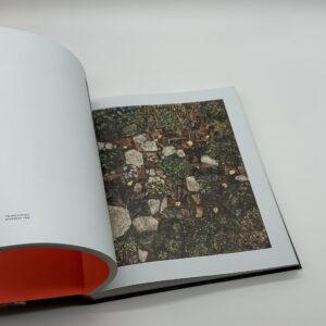 BRUTAL BEAUTY - 画像 (6)