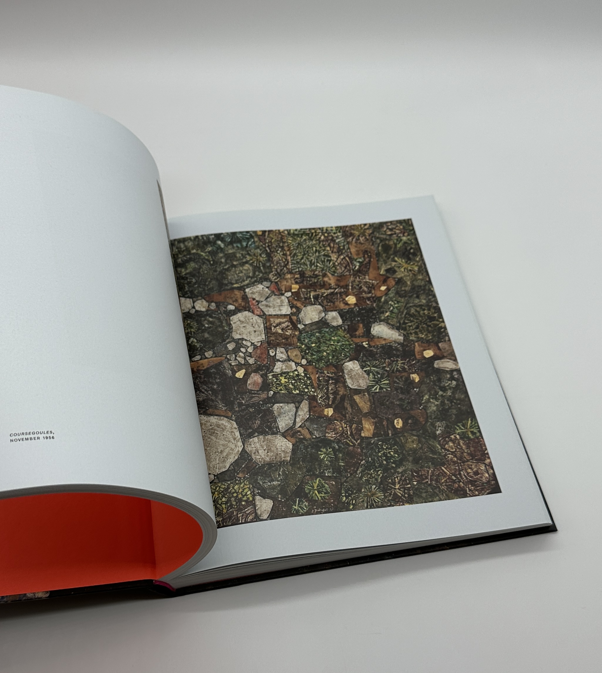 BRUTAL BEAUTY - 画像 (6)