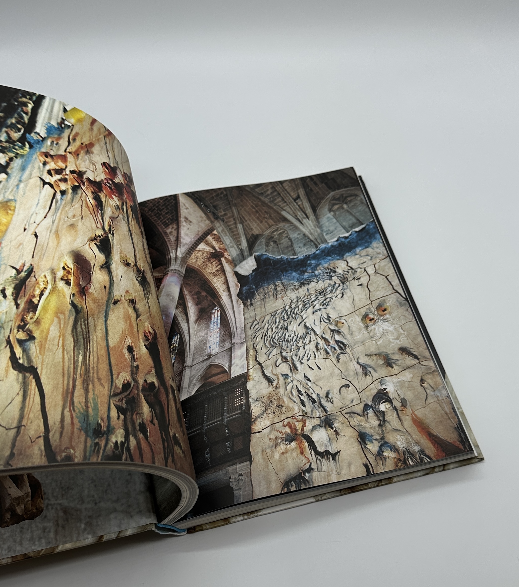 TERRAMARE - 画像 (7)