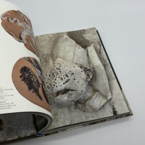 TERRAMARE - 画像 (6)